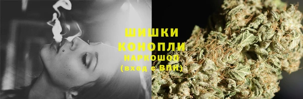 МДПВ Протвино