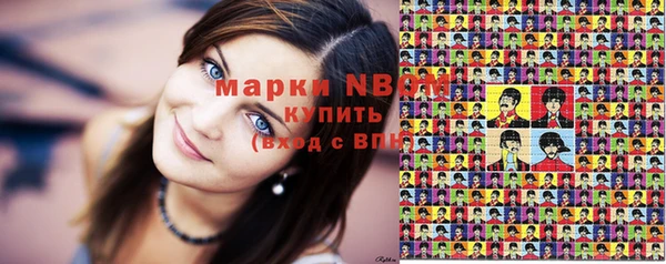 шишки Алзамай