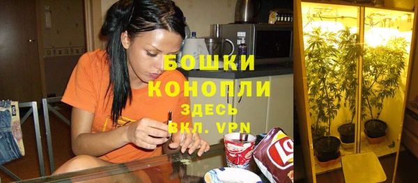 mdpv Пролетарск