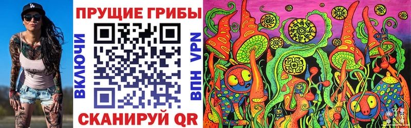 Псилоцибиновые грибы мухоморы  дарнет шоп  Камышлов 