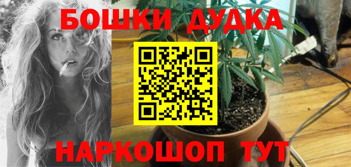Псилоцибиновые грибы Камышлов